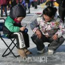 12월 여행정보 - 자라섬 씽씽겨울축제 이미지