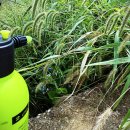 텃밭약국 이미지