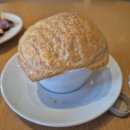 신라약국 | 제주신라호텔 더파크뷰 디너뷔페 후기