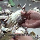 무창영어조합법인
