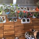 숲속해바라기어린이집 이미지