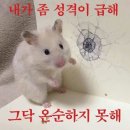 김재환 생일카페 이상한나라의짼토끼 주최자 나라입니다....후기 4편 &lt;기획, 제작, 그리고 난관&gt;