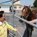 지사목장 이미지