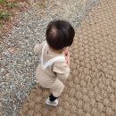 더카페440 이미지