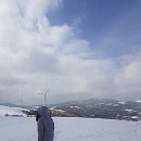 명수목장 티스토리