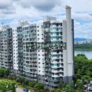 압구정-115 이미지