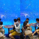 쭈쭈카케어 | 2014. JEJU (21M아기와 함께하는 제주여행 1+2 day)