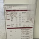 미석 | 쉬인어스 한국메디뷰티 첫 브라질리언 후기 | 잠실왁싱 석촌역왁싱