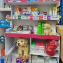 경희 함약국 이미지