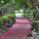 카멜리아힐 이미지