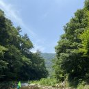 소소리농장 | 소소리농장 블루베리따기 체험 솔직후기 및 가격