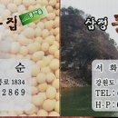 삼정콩마을두부집
