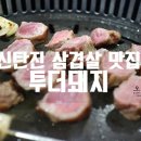 투더돼지 이미지