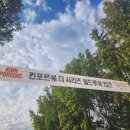 킨투어 네이버블로그
