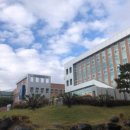 리틀윌링스 이미지