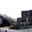 서영대학교 이미지