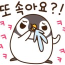 부림시장 이미지