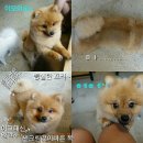 150826)안양벙개^^