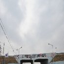 산남의진 정대장 양 이미지