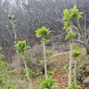 산내들농장 이미지