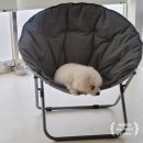 몽개몽개 이미지