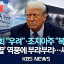 미 의회조사국 &#34;조지아 구금 사태로 한미 관계 우려 제기 이미지