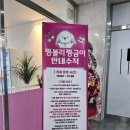 짱블리 짱금이 이미지