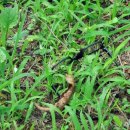 세모안경 이미지