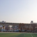 용인초등학교 Daum카페