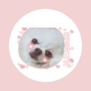 (주)마루세끼 이미지