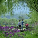 거창창포원 이미지