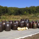 탑골농원 이미지