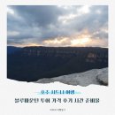 (주)뉴가야고속관광 | 호주 시드니 여행 블루마운틴 투어 가격 후기 선셋 시간 준비물