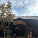 초이스안마 | 후쿠오카 유후인 료칸 와잔호 객실내 개인탕이 있는 가성비 숙소 (치키서비스, 장단점, 솔직후기)