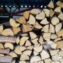 하박국식당 이미지