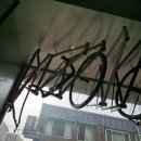 미모사사이클링 | 미모사 사이클링. 서울 성동구 성수 커스텀 수제 로드 자전거 2025