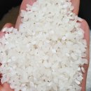 봉학농장 이미지