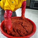 김장김치담그기/배추심기부터 수확, 김장까지~/내가 직접한 후기