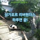 모아베이 플러스 | 싱가포르 리버원더스 완벽 가이드! 판다부터 슈퍼트리쇼까지 하루 코스