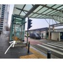 우정앤독스 이미지