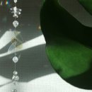 꽃그리다 네이버블로그