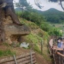 동로치안센터 이미지