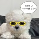 부송도서관 | 3월 ː 꽃샘추위