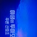 창덕약국