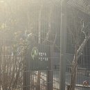 새나라어린이공원 놀이터 네이버블로그