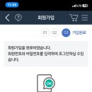 피카소파크 이미지