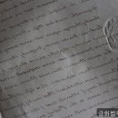 금화법무사사무소