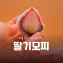사랑의집(무료급식) | 과일모찌 좋아하면 추천ㅣ여수 서녹씨 원조 딸기모찌 택배 후기