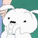 견공상회 이미지