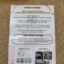 뚱띠레이 이미지